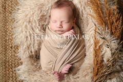 Namnlös design - 23