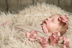 Namnlös design - 27